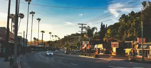 white car driving on road surrounded by palms