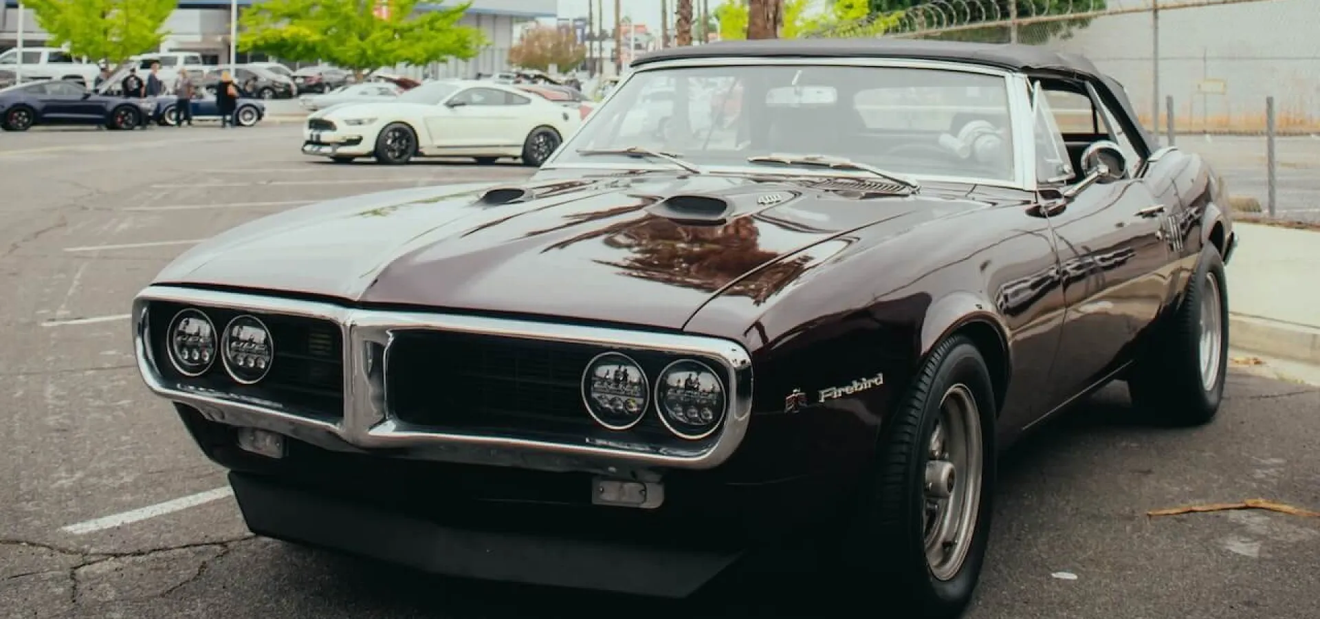A Classic Pontiac Firebird on a Parking Lot