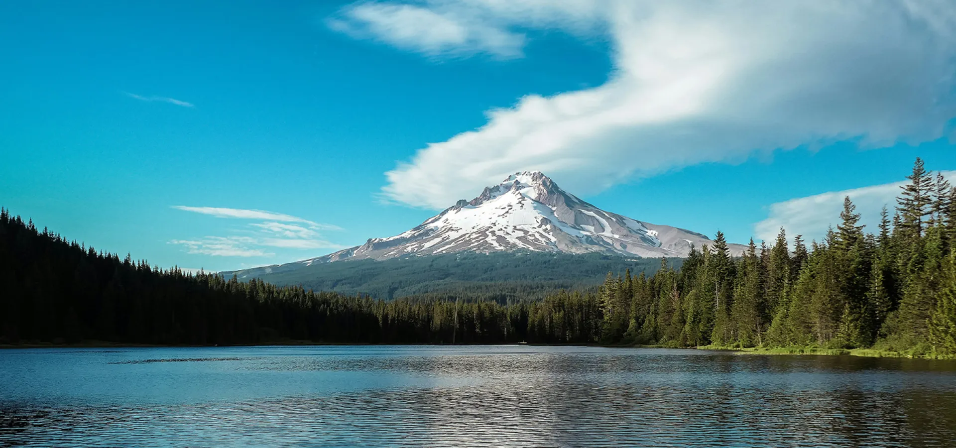 Car Shipping from California to Oregon: Updated Auto Transport Costs 2026 