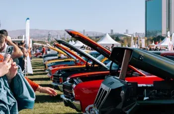 cars in an auction