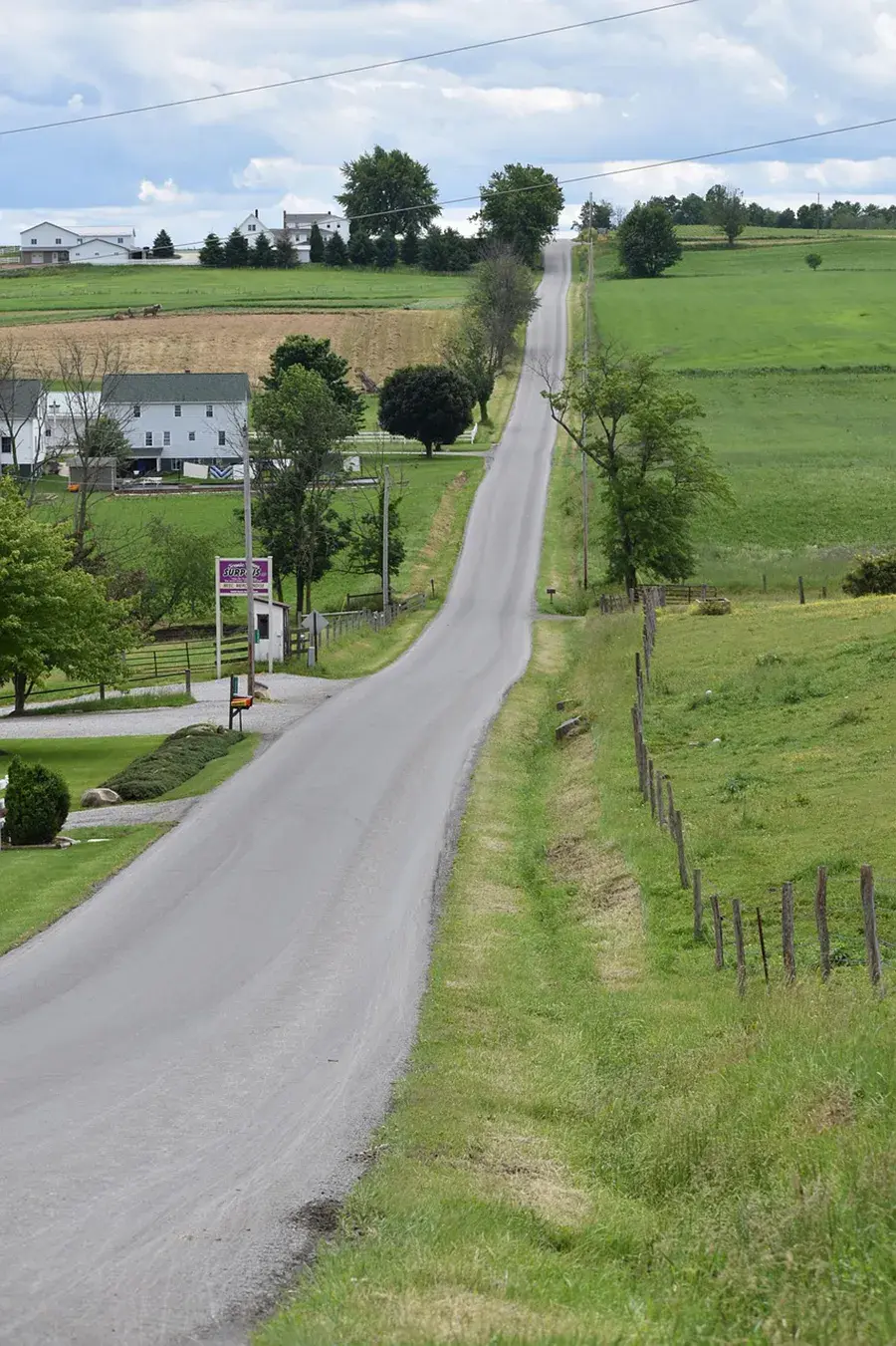 What to Expect from California to Ohio Vehicle Shipping with SGT Auto Transport