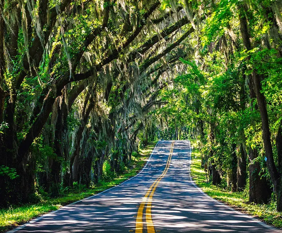 From Point A in Florida to Point B in Georgia