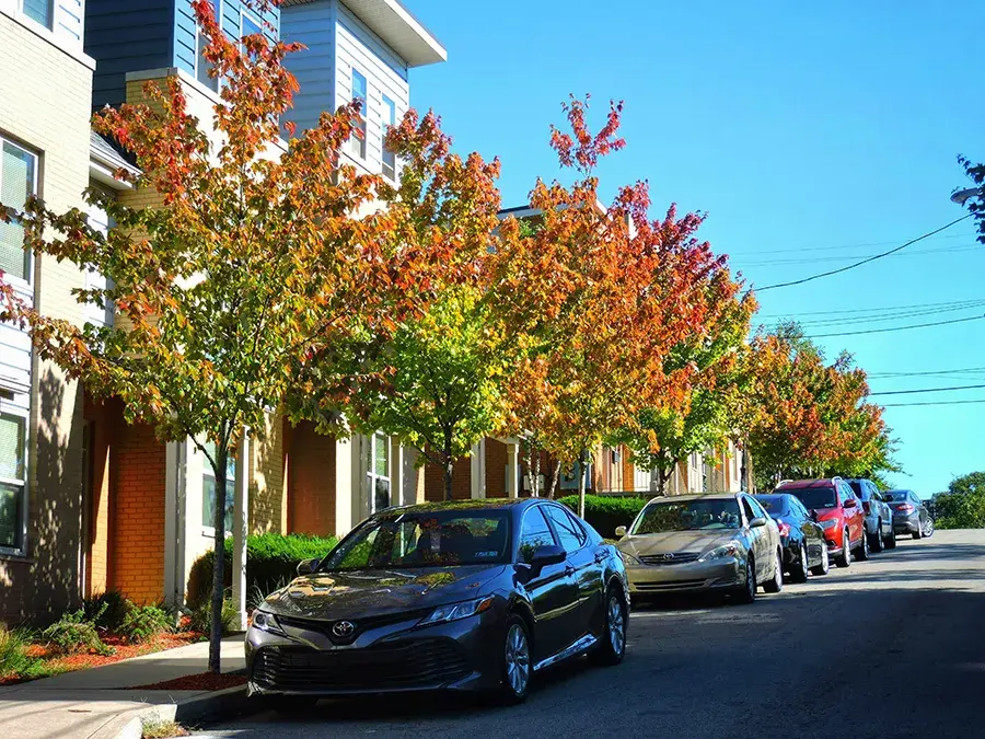 Top-Rated Georgia & Pennsylvania Car Transport 