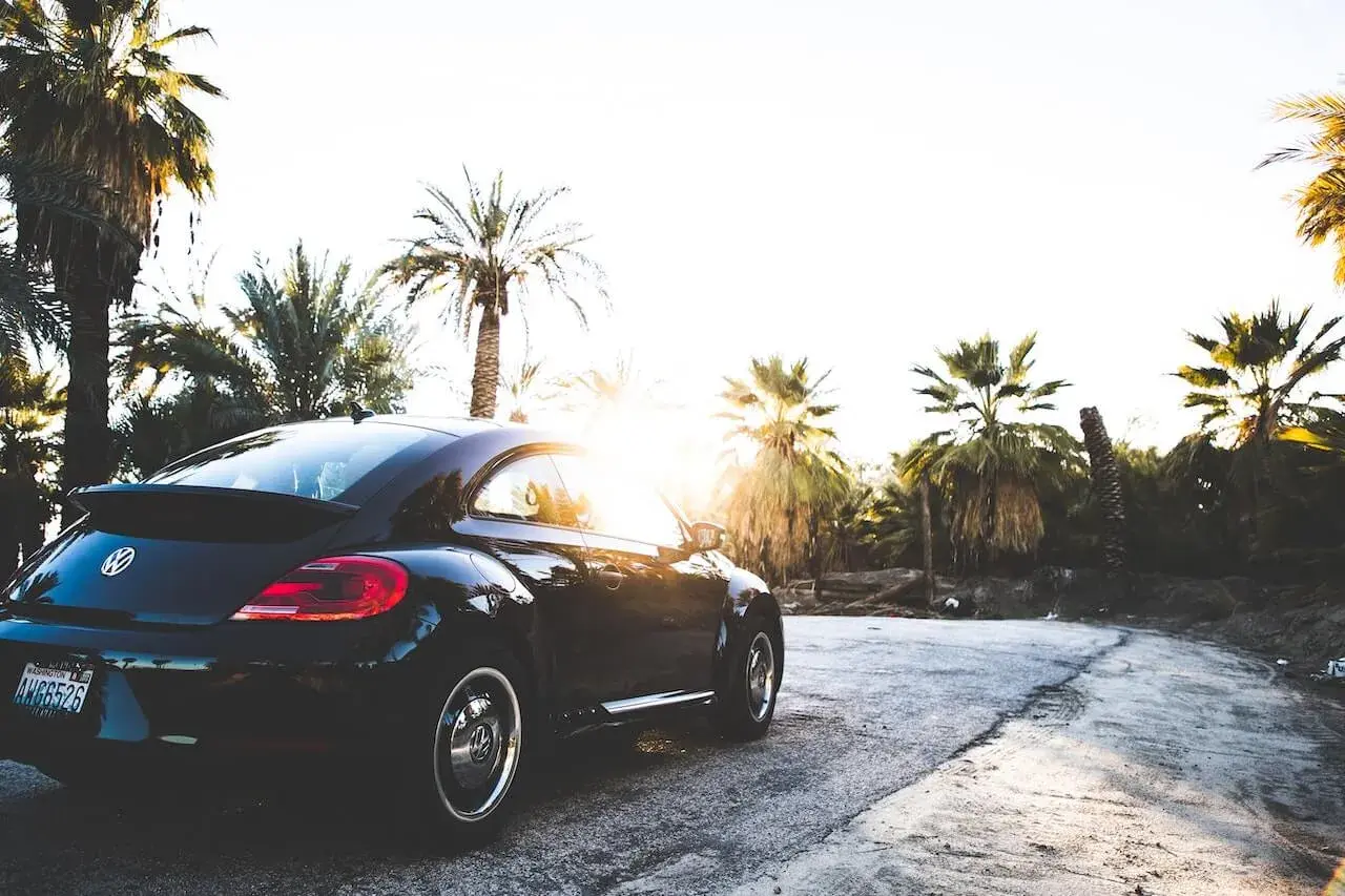 A black car parked between palm trees A black car parked between palm trees