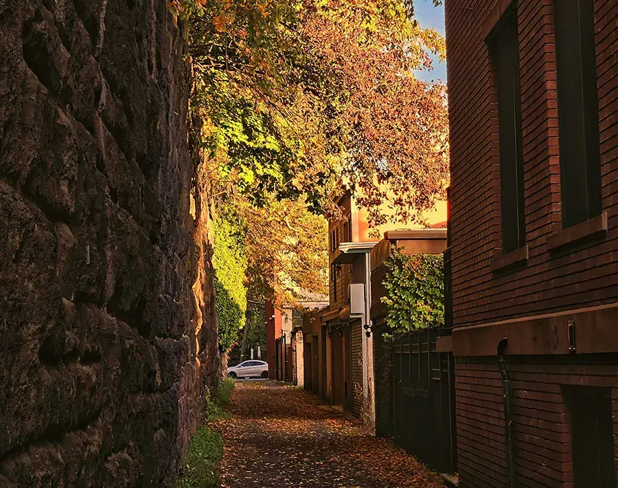 from New Jersey Vehicle Shipping with SGT Auto Transport