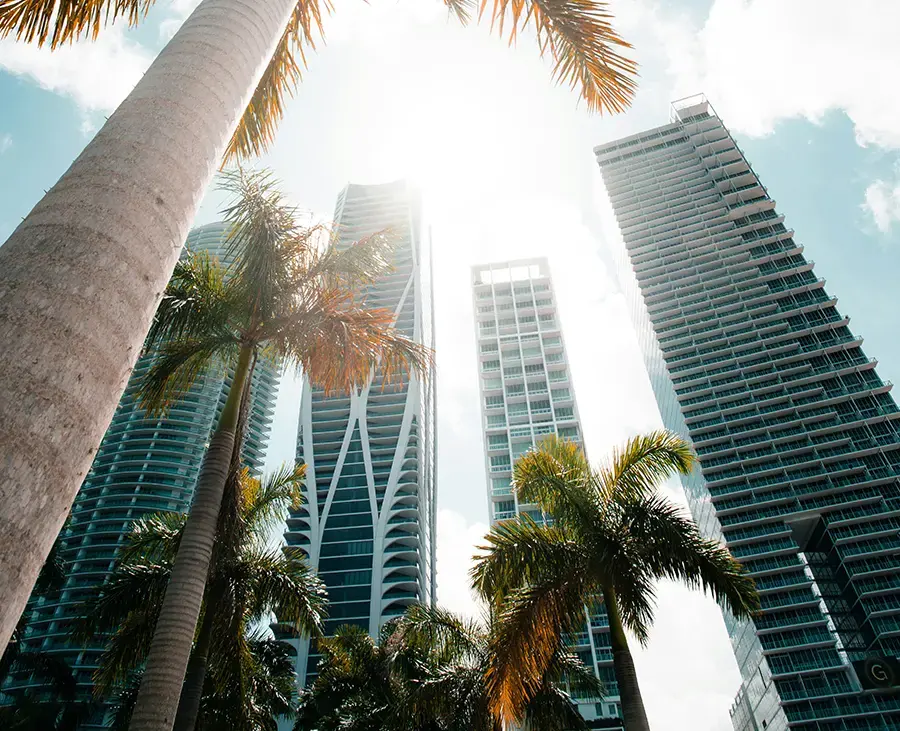 What to Expect from Nevada to Florida Vehicle Shipping with SGT Auto Transport