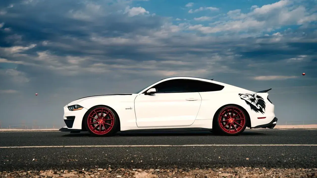 white mustang on the road white mustang on the road