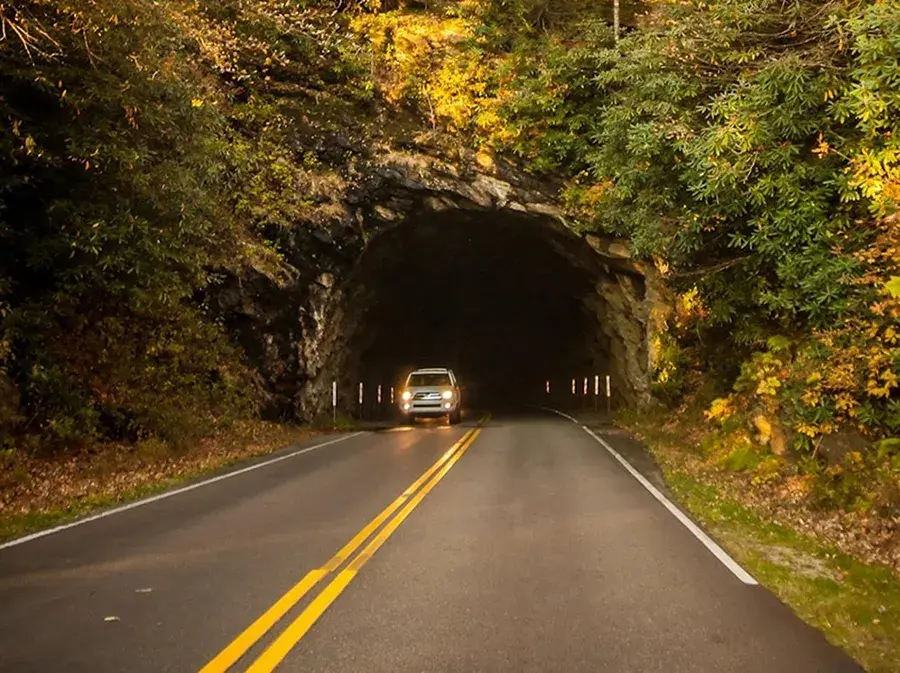 What to Expect from California to South Carolina Vehicle Shipping with SGT Auto Transport