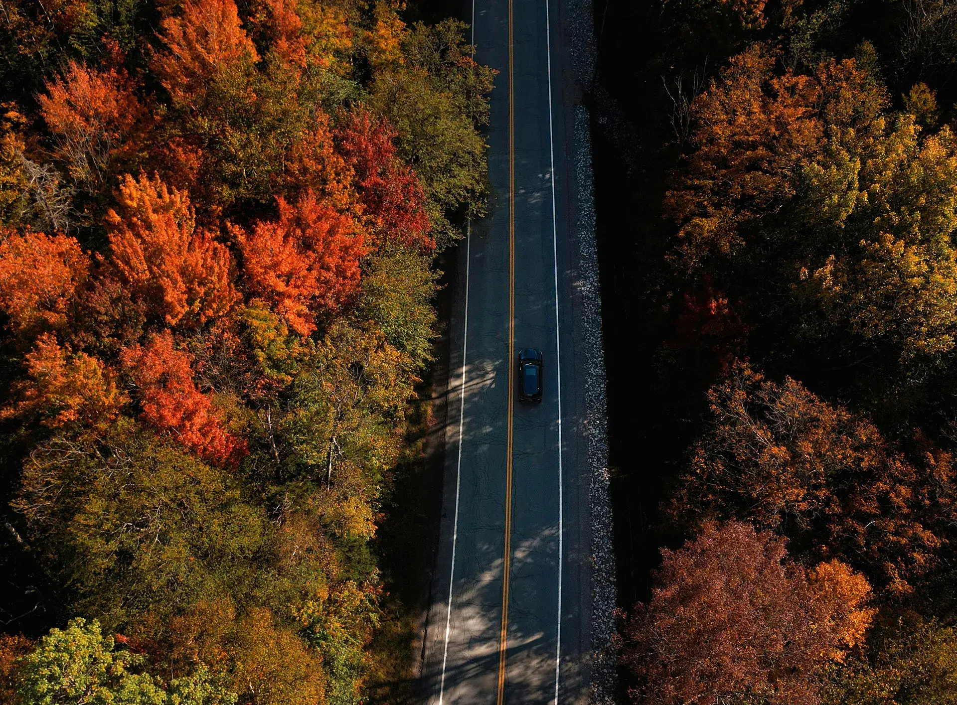 Vermont car shipping company